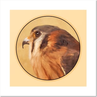 American Kestrel Posters and Art